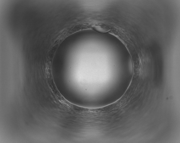 X0000073871397200608101457