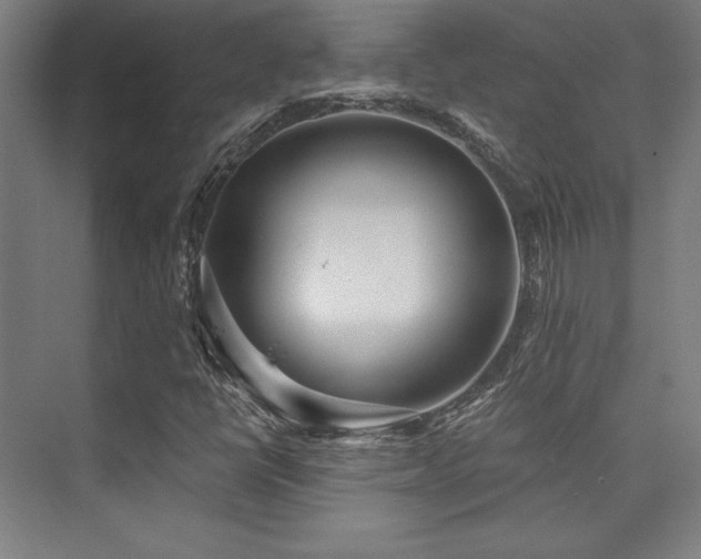 X0000073871398200608101457