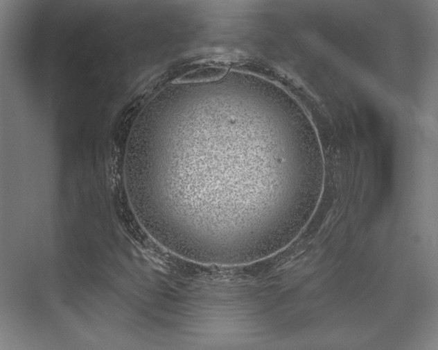 X0000073871399200608101457