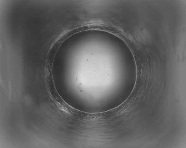 X0000073871400200608101457