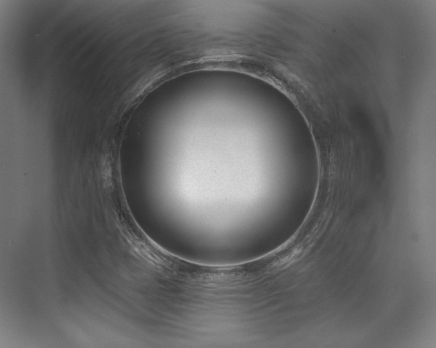 X0000073871401200608101457