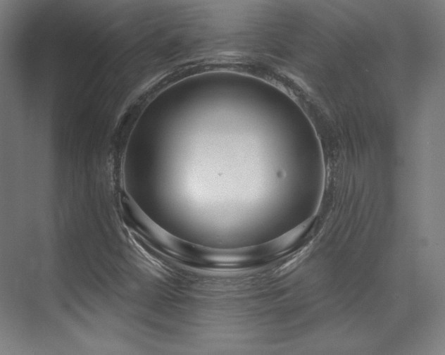 X0000073871402200608101457