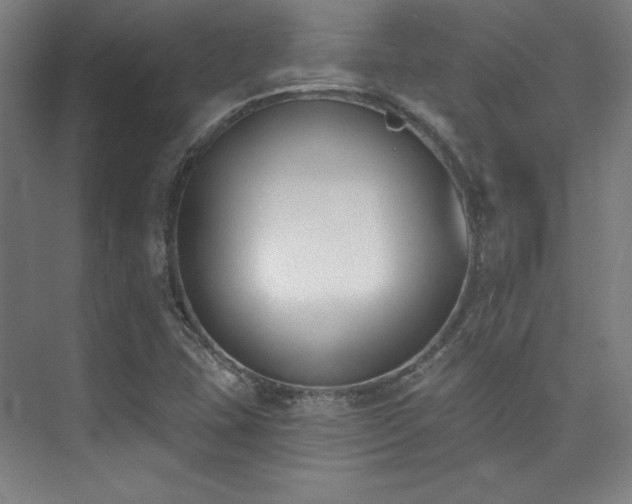 X0000073871407200608101458