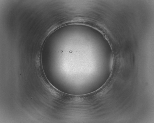 X0000073871409200608101458