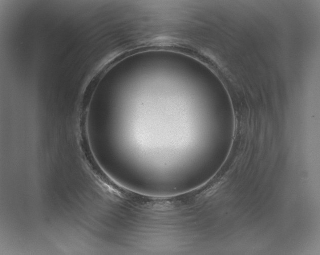 X0000073871410200608101458