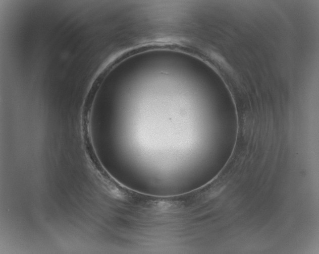 X0000073871412200608101458