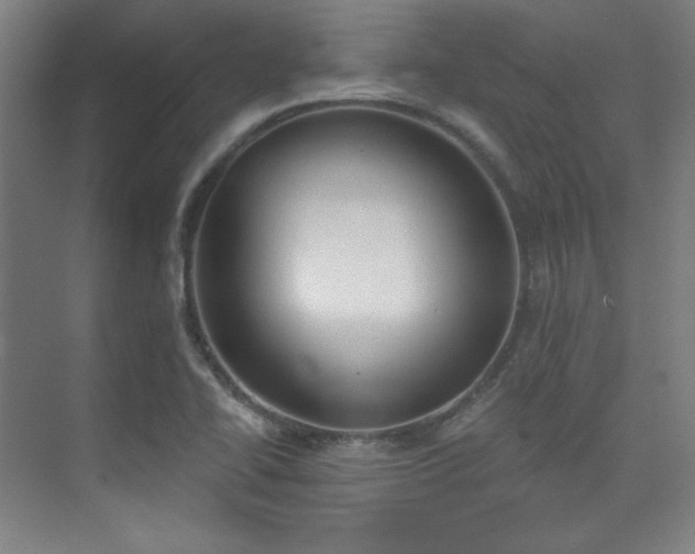 X0000073871414200608101458