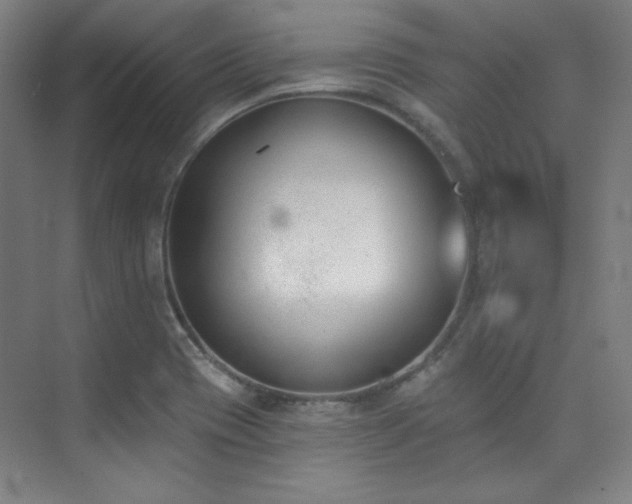 X0000073871417200608101458