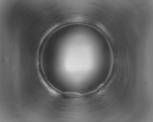 X0000073871418200608101458