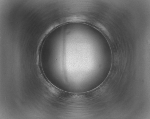 X0000073871419200608101458