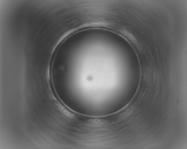 X0000073871420200608101458