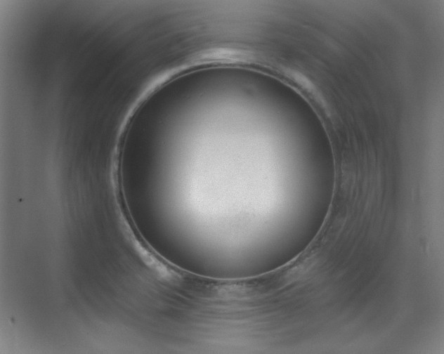 X0000073871421200608101458