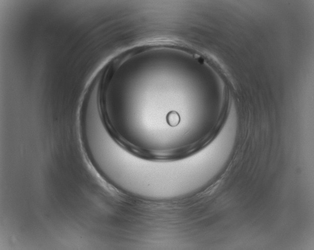 X0000073871422200608101458