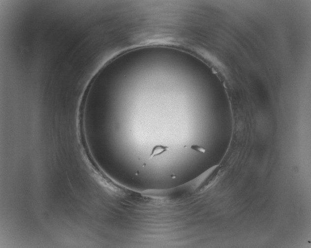 X0000073871423200608101458