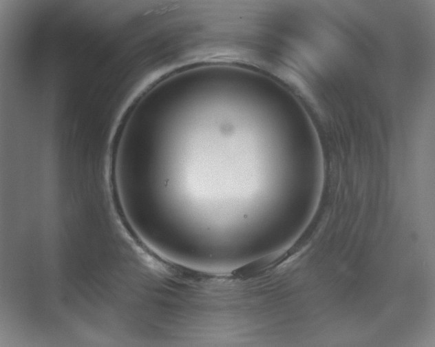 X0000073871424200608101458