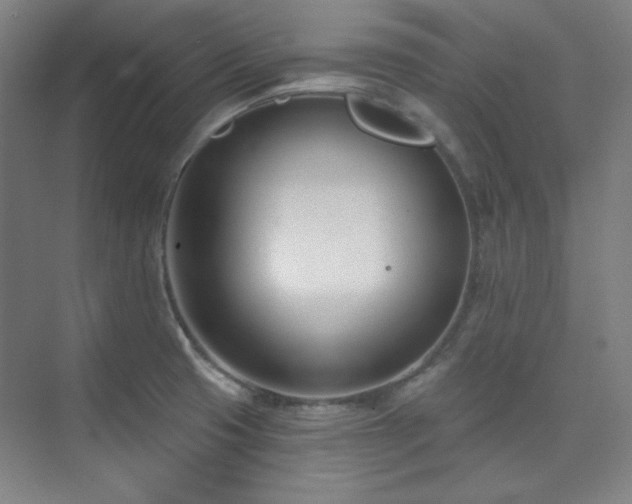 X0000073871425200608101458