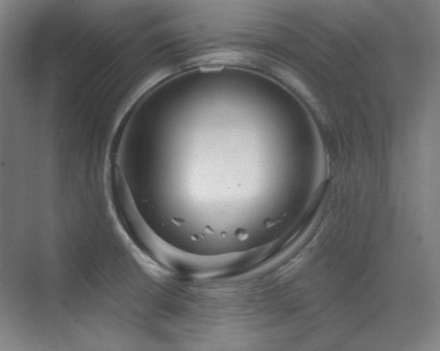 X0000073871426200608101458