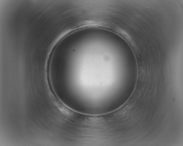 X0000073871427200608101458