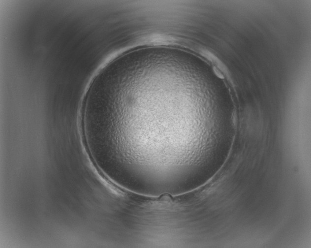 X0000073871429200608101458