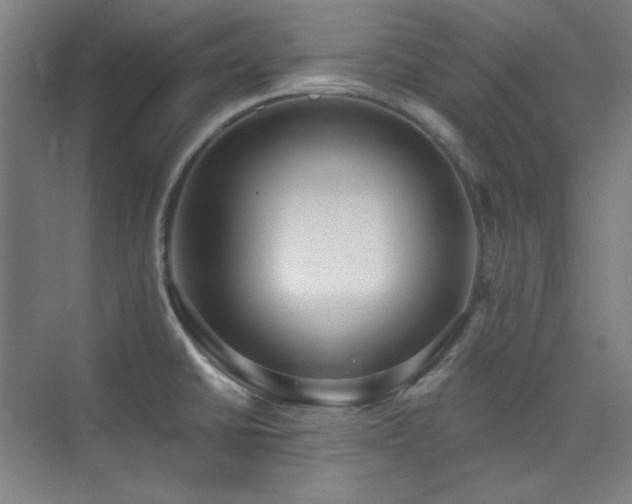 X0000073871430200608101458