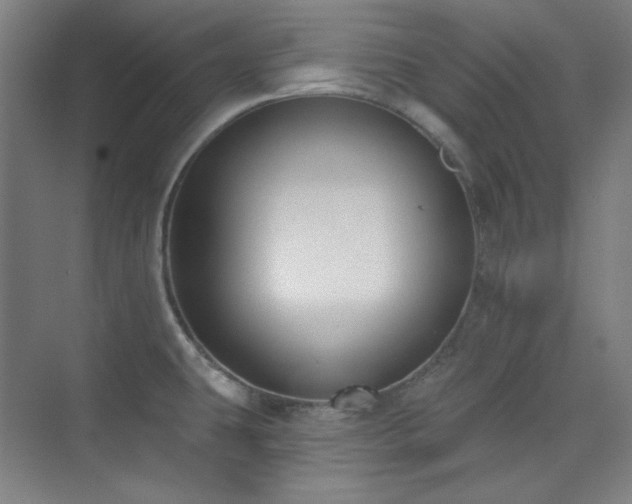 X0000073871431200608101458