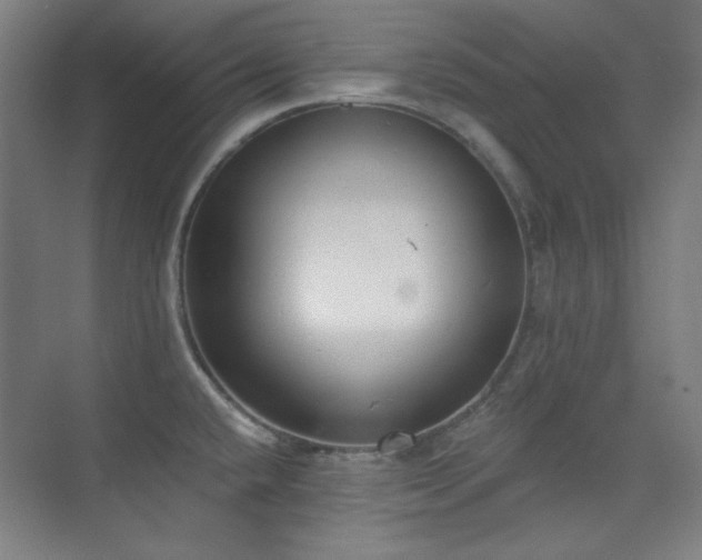 X0000073871432200608101458