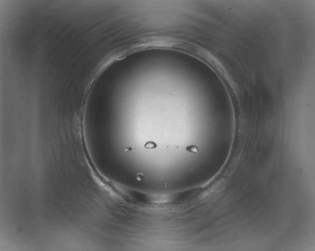 X0000073871433200608101458