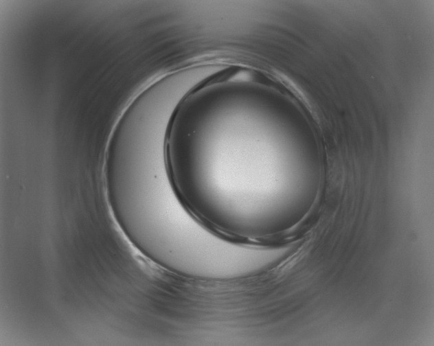 X0000073871434200608101458