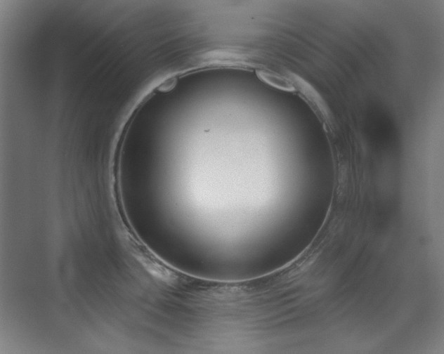 X0000073871435200608101458