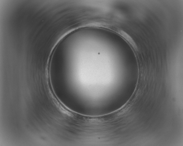 X0000073871436200608101458