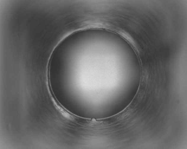 X0000073871439200608101458