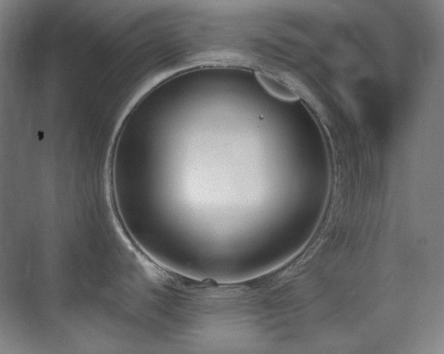 X0000073871440200608101458