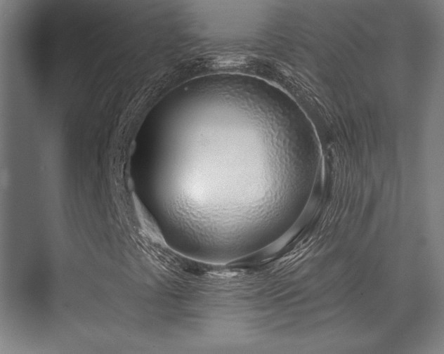 X0000073871441200608101457