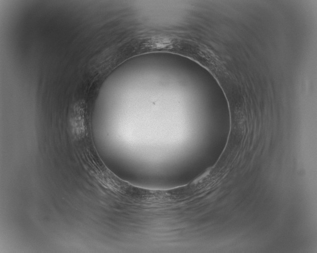 X0000073871442200608101457