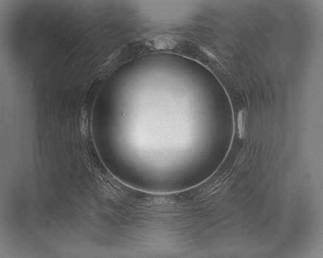 X0000073871443200608101457