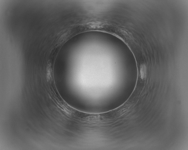 X0000073871444200608101457