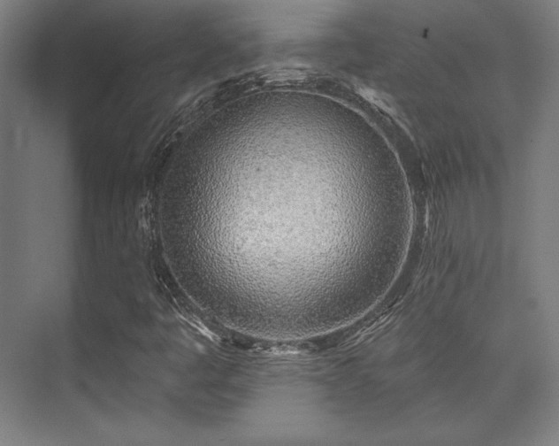 X0000073871445200608101457