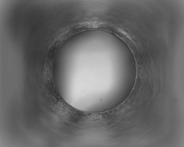 X0000073871446200608101457