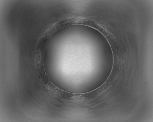 X0000073871447200608101457