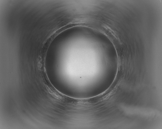 X0000073871449200608101457