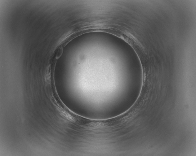 X0000073871450200608101457