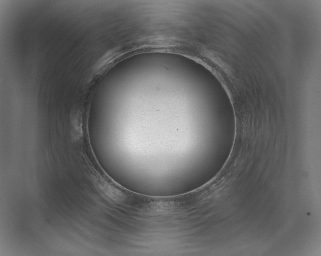 X0000073871451200608101457