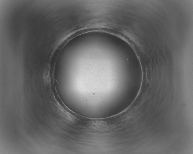 X0000073871452200608101457