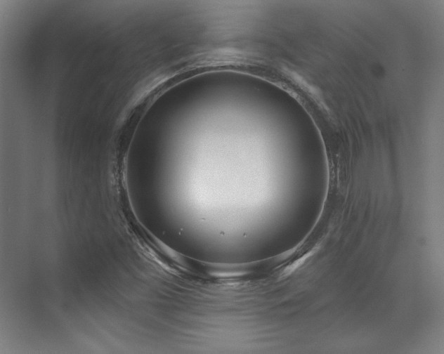 X0000073871453200608101457