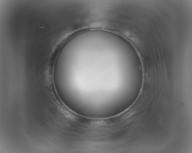 X0000073871454200608101457