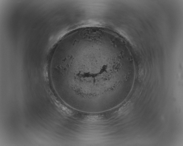 X0000073871455200608101457