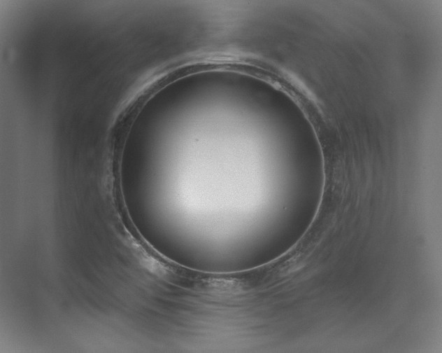 X0000073871456200608101457