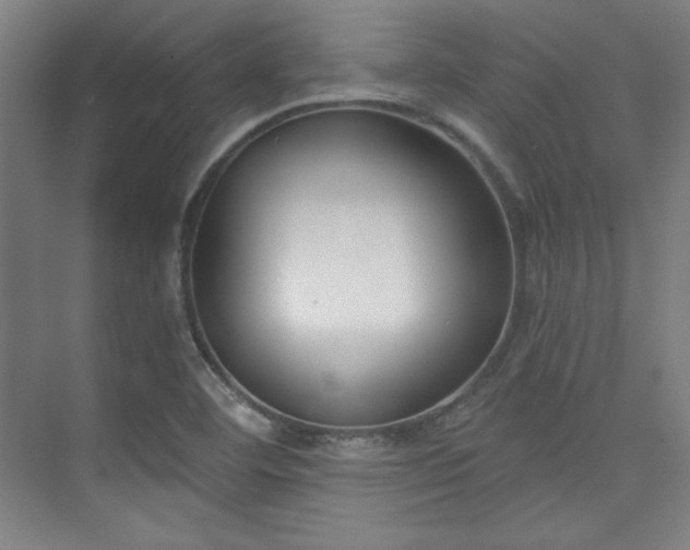 X0000073871460200608101457