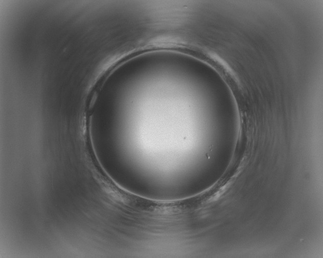 X0000073871461200608101457