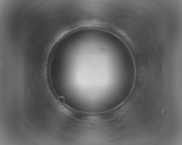 X0000073871463200608101457